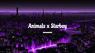 Animals x Starboy (Slowed+Reverb)(8D AUDIO)