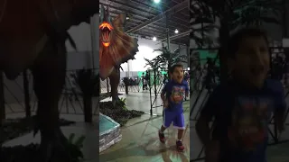 dinosaur experience