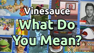 Vinny Vinesauce “What Do You Mean?” Compilation