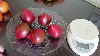 Дегустация гномов томатных. Часть 8