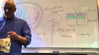 Brain and head injuries lesson 1, Introduction, intracranial pressure and level of consciousness