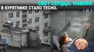 В КУРЯТНИКЕ СТАЛО ТЕСНО. СВЕТ СЕРДЦА. НАВЕЙЯ.