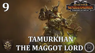 Total War: Warhammer 3 - Tamurkhan: The Maggot Lord - Immortal Empires - Part 9 (No Commentary)