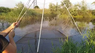 13.07.2021. Рыбалка на паук с прикормкой. Наловил кучу рыбы за час времени)