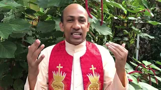 1749. ഇങ്ങനെയൊരു കോട്ട നിങ്ങൾക്കുണ്ടോ? (Ps 8,2) | Fr.Binoy Karimaruthinkal PDM