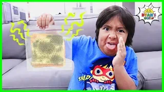 How to keep bread from molding science experiment DIY!!!