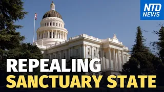 Lawmaker Moves to Repeal Sanctuary State Law; Two Calif. Cities Named Top 5 Rattiest | NTD News