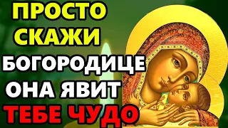 ПРОСТО СКАЖИ БОГОРОДИЦЕ И ОНА ЯВИТ ТЕБЕ ЧУДО! Сильная Молитва Богородице! Православие