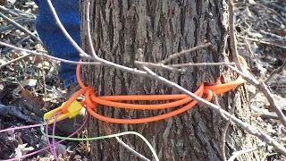 Tree Trimming With Det-Cord - Explosives Research, Vol 3