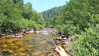 The ONLY FLIES U NEED on a summer trip out west - 9 flies I used on a 2 month road trip- NM,CO,ID,WY