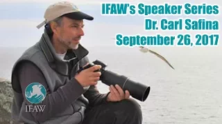 IFAW's Speaker Series: Dr. Carl Safina