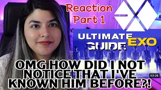 THE ULTIMATE GUIDE TO EXO | group history, storyline, and member info | REACTION PART 1 |