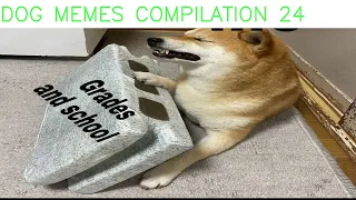 dog memes compilation 24