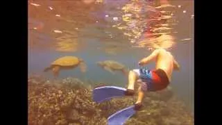 KAMAOLE BEACH SNORKELING...gopro hero