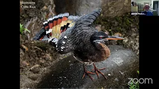 5/15/21 Spring Bird Fest Keynote Speaker, Dennis Paulson - The Wonderful Adaptations of Birds