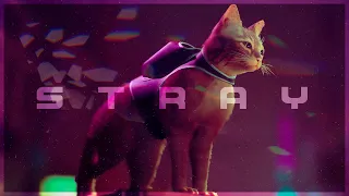 Stray | Киберпанк, который мы заслужили