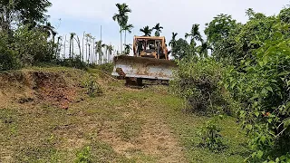 The operator of the Caterpillar D6R XL bulldozer is highly skilled at clearing plantation roads