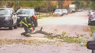 Strong Winds Bring Down Trees, Cause Problems With Outdoor Dining