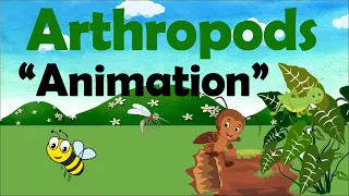 ARTHROPODS | Biology Animation