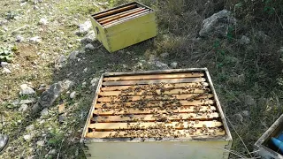 ΤΟ ΕΙΧΑ ΔΕΙ ΒΙΑΣΤΙΚΑ!!!ΕΧΕΙ ΠΡΟΒΛΗΜΑ ΑΠΟ ΒΑΡΟΑ!