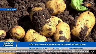 Bölgələrdə kartofun qiyməti ucuzlaşdı