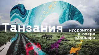 Танзания. Сафари. Маньяра и Нгоронгоро