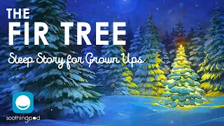 Bedtime Sleep Stories | 🎄The Fir Tree 😴 | Sleep Story Christmas | Hans Christian Andersen Fairytales