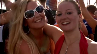 Charly Lownoise feat. Mental Theo - Your Smile (The Viper Remix) Live @t Defqon 1 2010