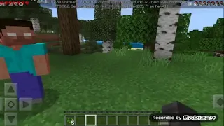 Ailecek Minecraft survival ( bölüm 1)