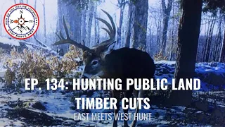 Ep. 134: Hunting Public Land Timber Cuts with Steve Sherk // Sherk's Guide Service