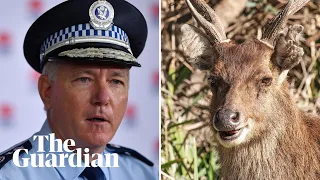 Two nude sunbathers got lost in NSW park after being startled by a deer, police say