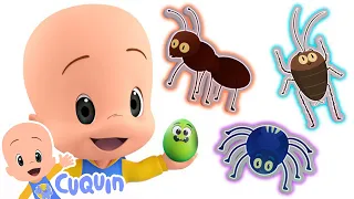 Learn whith Cuquin and the Surpise eggs insects and more educational videos | Cuquin
