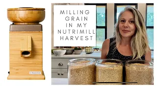 Milling Grain In My NutriMIll Harvest