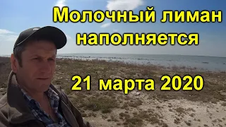 Молочный лиман наполняется с Азовского моря промоина работает 21 марта 2020