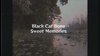 Black Cat Bone - Sweet Memories
