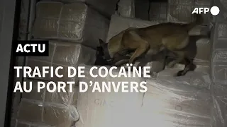 La Belgique démunie face au "cancer" du trafic de cocaïne à Anvers | AFP