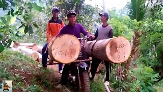 Motorbike Logging Transport  on Most Extreme Roads