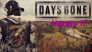 ИГРОФИЛЬМ - Days Gone! ЧАСТЬ 1