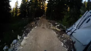 PBR! Stevens Pass Mountain Biking Back Dimond