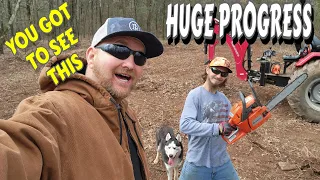 SO MUCH DONE!!! tiny house, homesteading, off-grid, cabin build DIY HOW TO, Tractor, land clearing