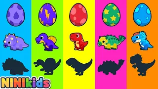 What if a baby dinosaur is born? | Dinosaur egg | Shadow dinosaur game | T Rex? Galimimus?| NINIkids