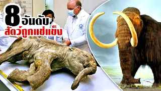 8 สัตว์สูญพันธุ์สุดประหลาด..ที่ถูกค้นพบในน้ำแช่เเข็ง (ต้องทึ่งแน่ๆ)