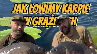 Jak łowimy karpie w grążelach Vlog#8