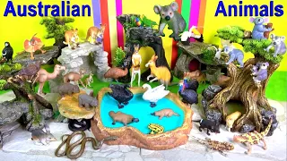 Australian Animal Toys - Koala Toy - Kangaroo Toys - Wildlife Toys