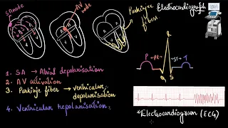 ECG | Body fluids and circulation | Biology | Khan Academy