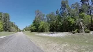 Hiking The Florida Trail at Alexander Springs in Ocala National Forest