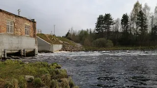 ОБЕД ПРИГОТОВИЛА И ПОШЛА НА РЫБАЛОЧКУ🐟🎣