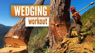 Pushing 3 large trees | Wedging, Bucking & Favorite boots