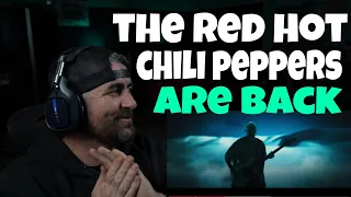 Red Hot Chili Peppers - Black Summer (Rock Artist Reaction)