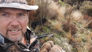 Spring Hunt II with the 308 Bushpig